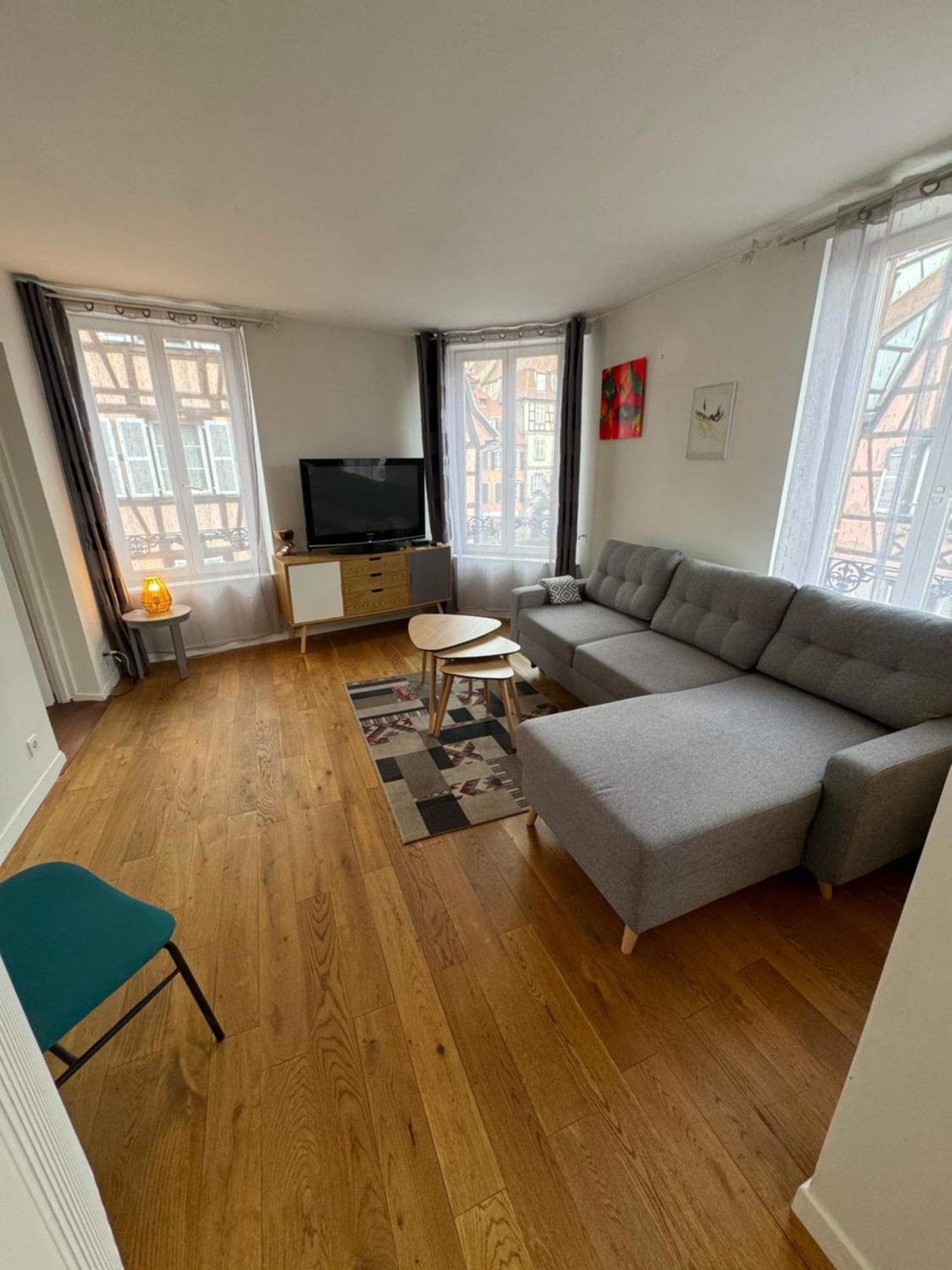 Appartement De Standing Hypercentre Colmar Bagian luar foto